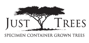 logo-just-trees.png